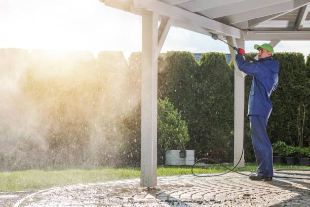 Animal Enclosure Cleaning in Mack, OH